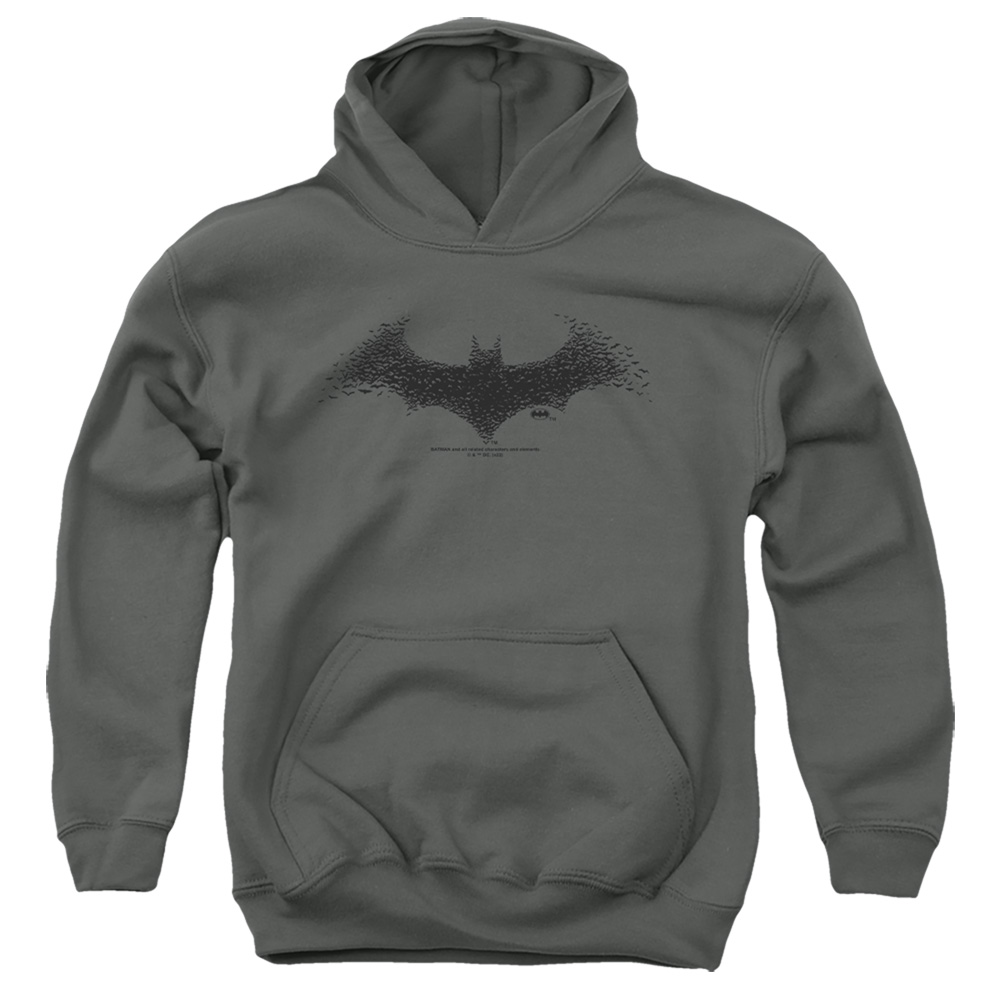 BM3409-YFTH-2 Batman Bat Logo 1 Youth Hooded Sweatshirt, Charcoal - Medium