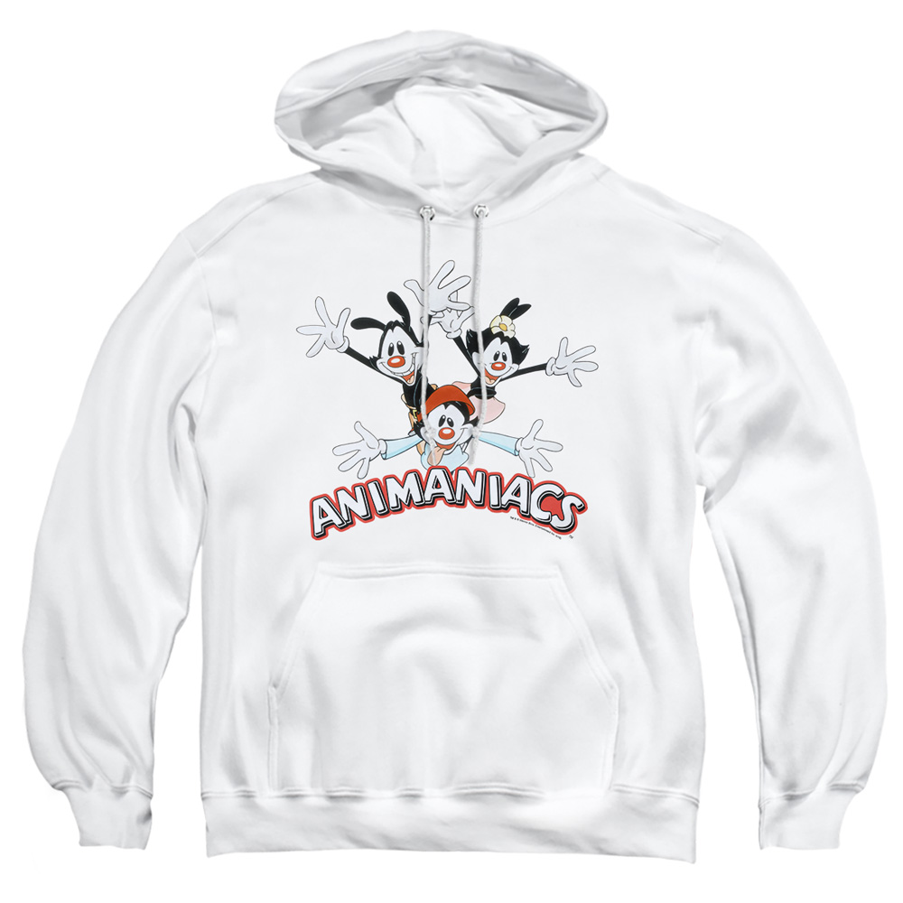 WBT782-AFTH-3 Animaniacs Trio Adult Pullover Hoodie, White - Large
