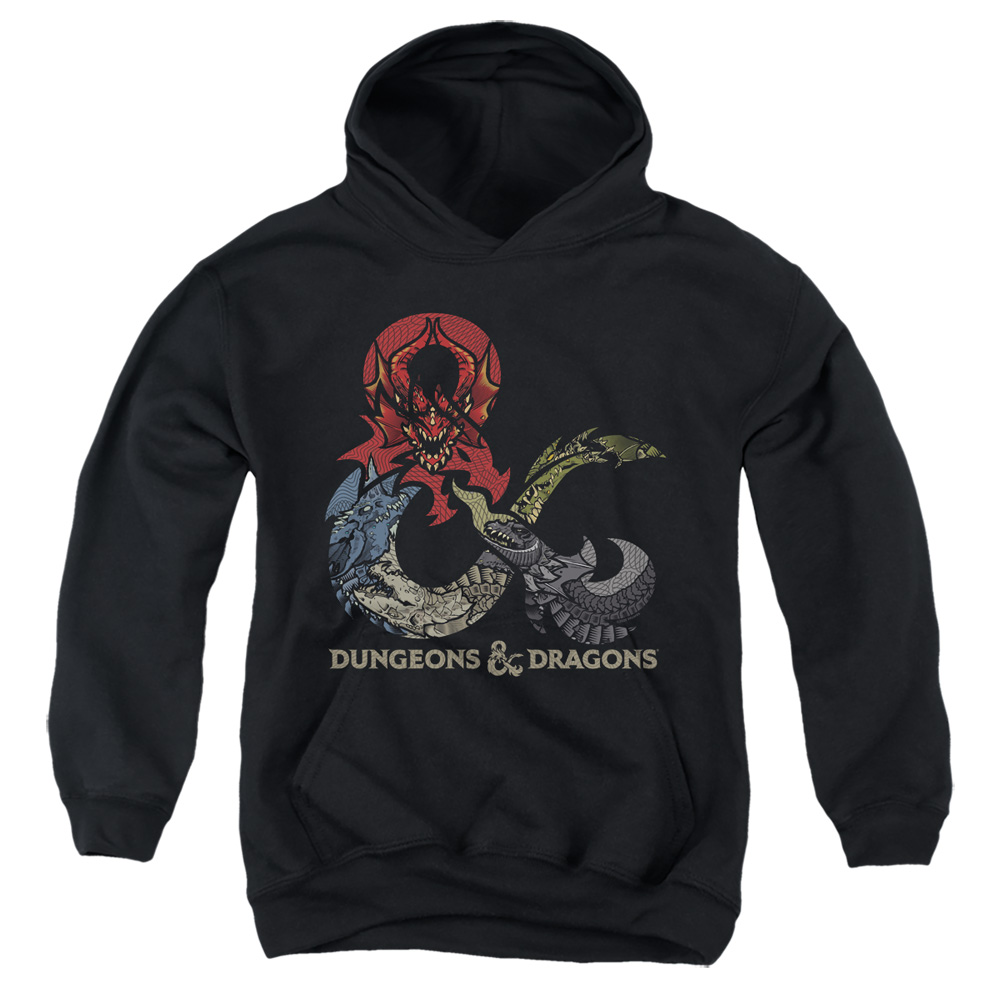 HBRO753-YFTH-1 Dungeons & Dragons Youth Hooded Sweatshirt, Black - Small