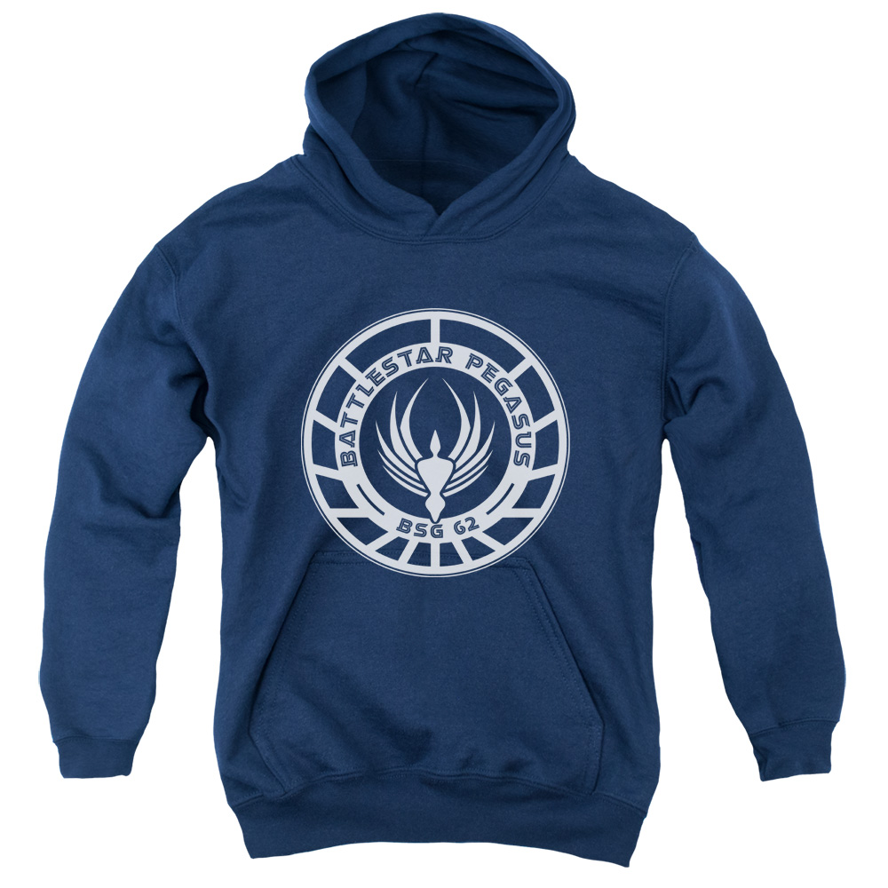 BSG211-YFTH-2 BSG Pegasus Decal Youth Hooded Sweatshirt, Navy - Medium
