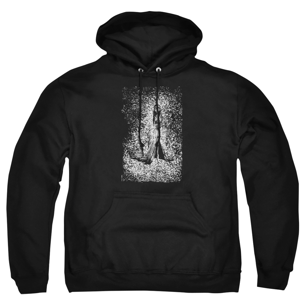WBM727-AFTH-1 Corpse Bride Bird Dissolve Adult Pullover Hoodie, Black - Small