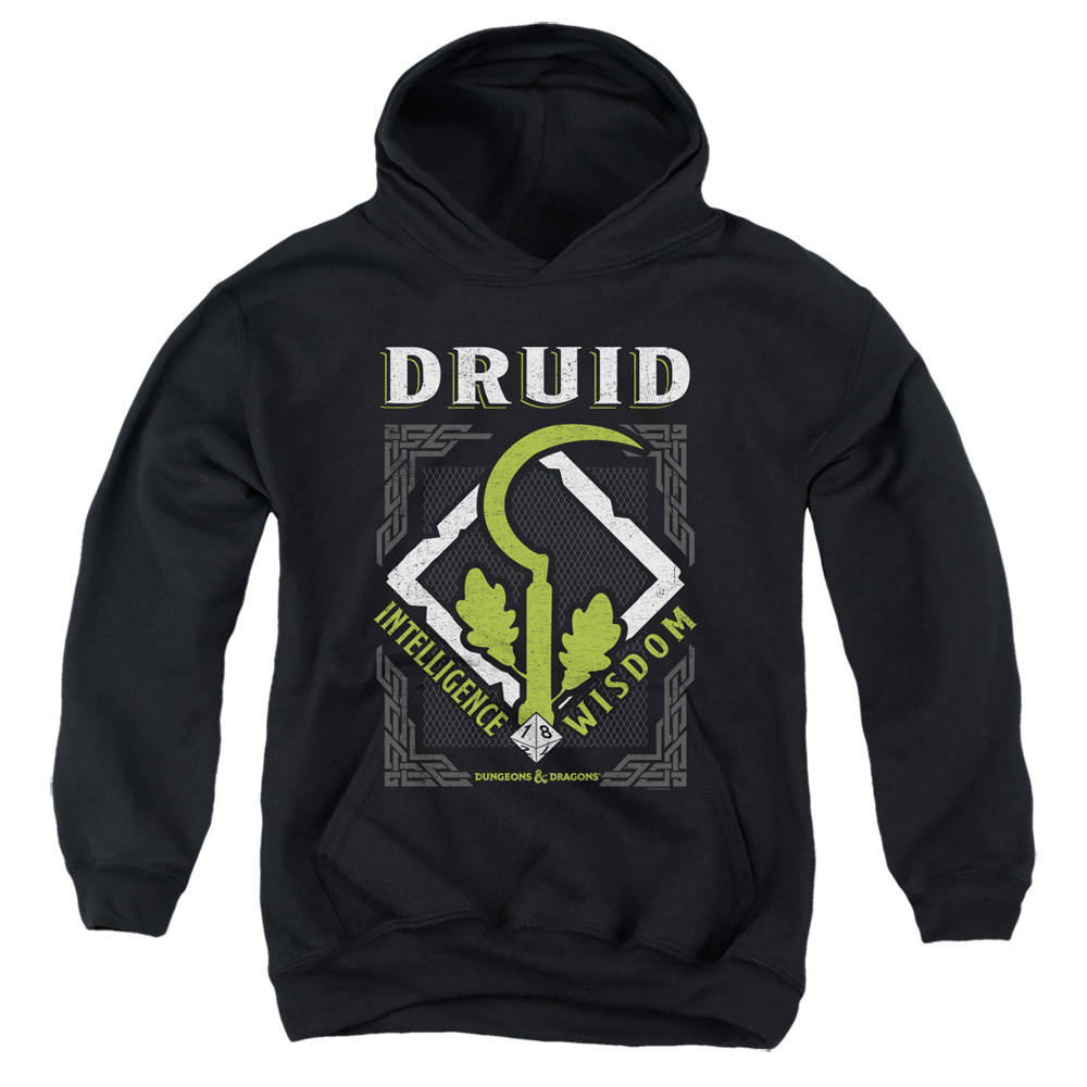 HBRO659-YFTH-4 Dungeons & Dragons Druid Youth Hooded Sweatshirt, Black - Extra Large