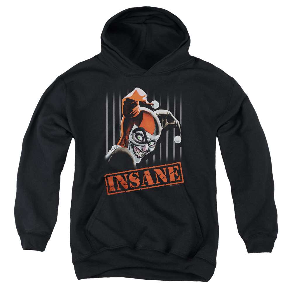 BM2839-YFTH-2 Batman Insane Youth Hooded Sweatshirt, Black - Medium