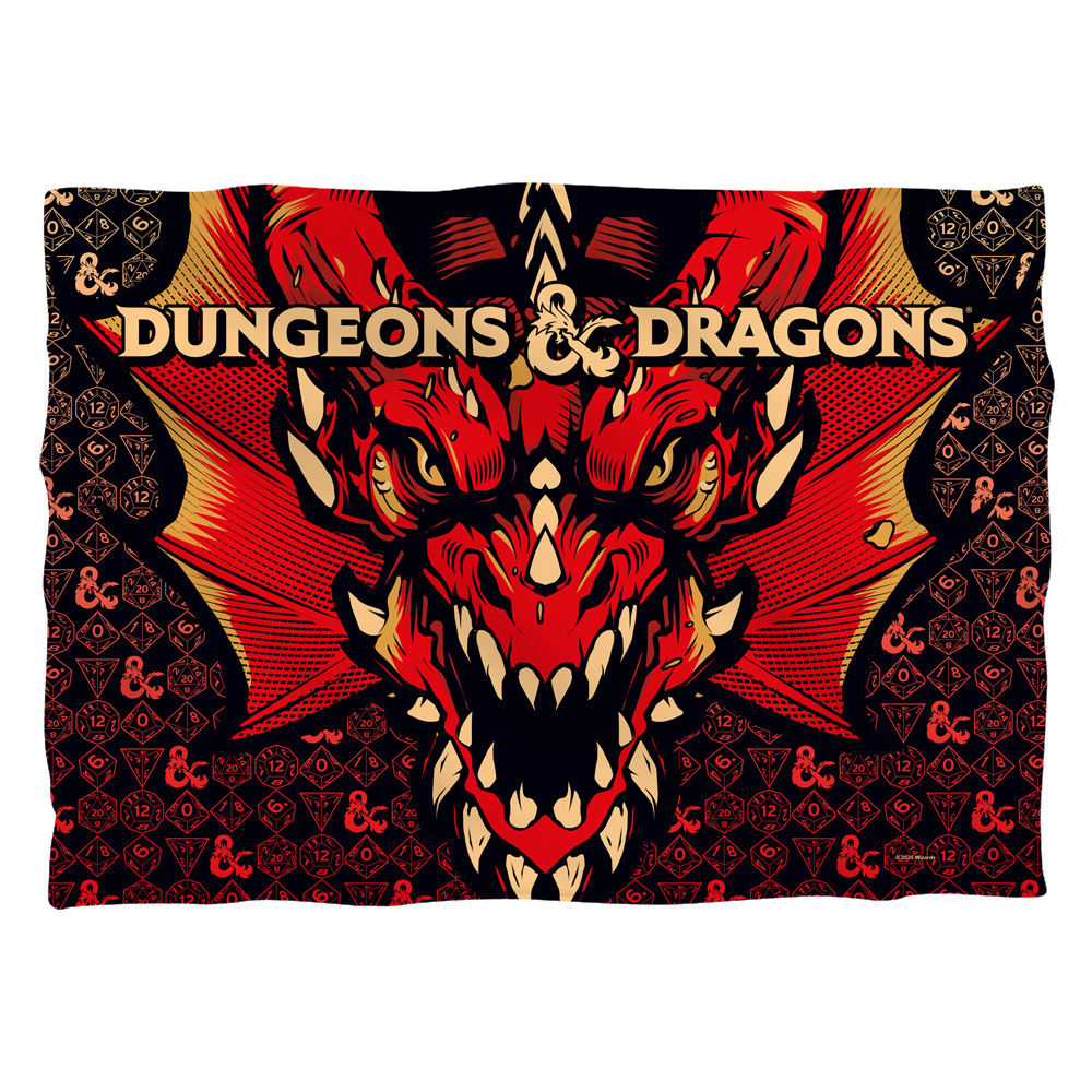 HBRO757FB-PLO1-20x28 Dungeons & Dragons Front Back Print Pillow Case, White - 20 x 28 in.