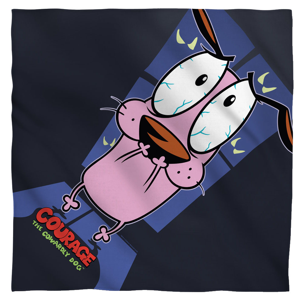 CN417-BND1-0 Courage The Cowardly Dog Window Bandana, White - 22 x 22 in.