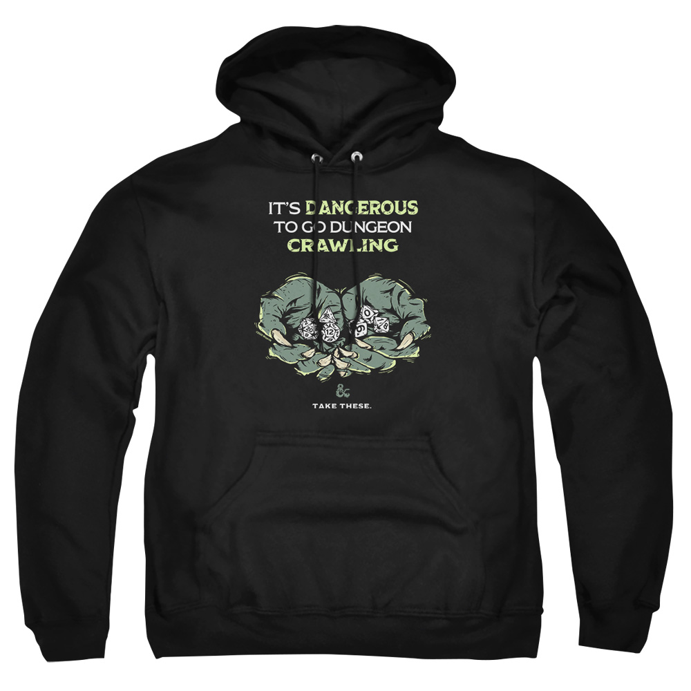 HBRO682-AFTH-2 Dungeons & Dragons Dangerous to Go Alone Adult Pullover Hoodie, Black - Medium