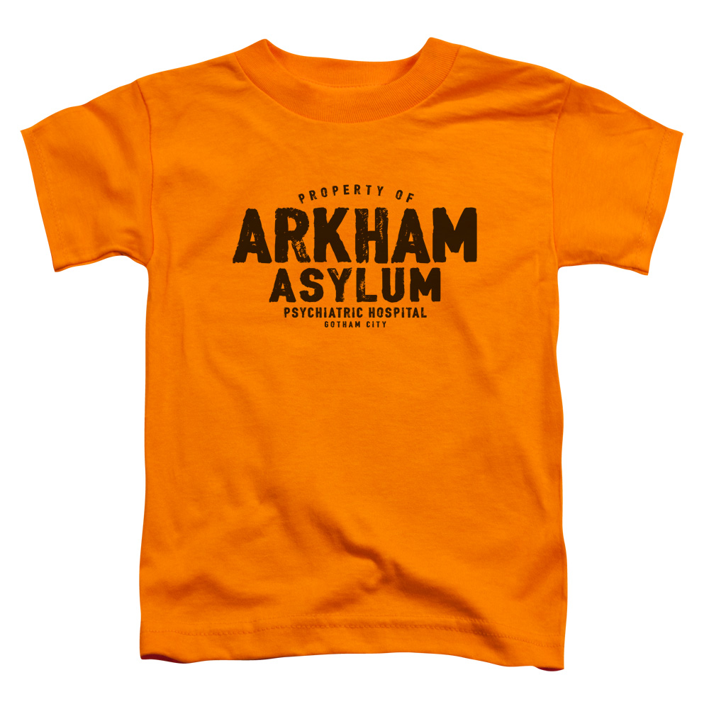 BM2632-TT-2 Batman Arkham Asylum Toddler Short Sleeve T-Shirt, Orange - Medium 3T