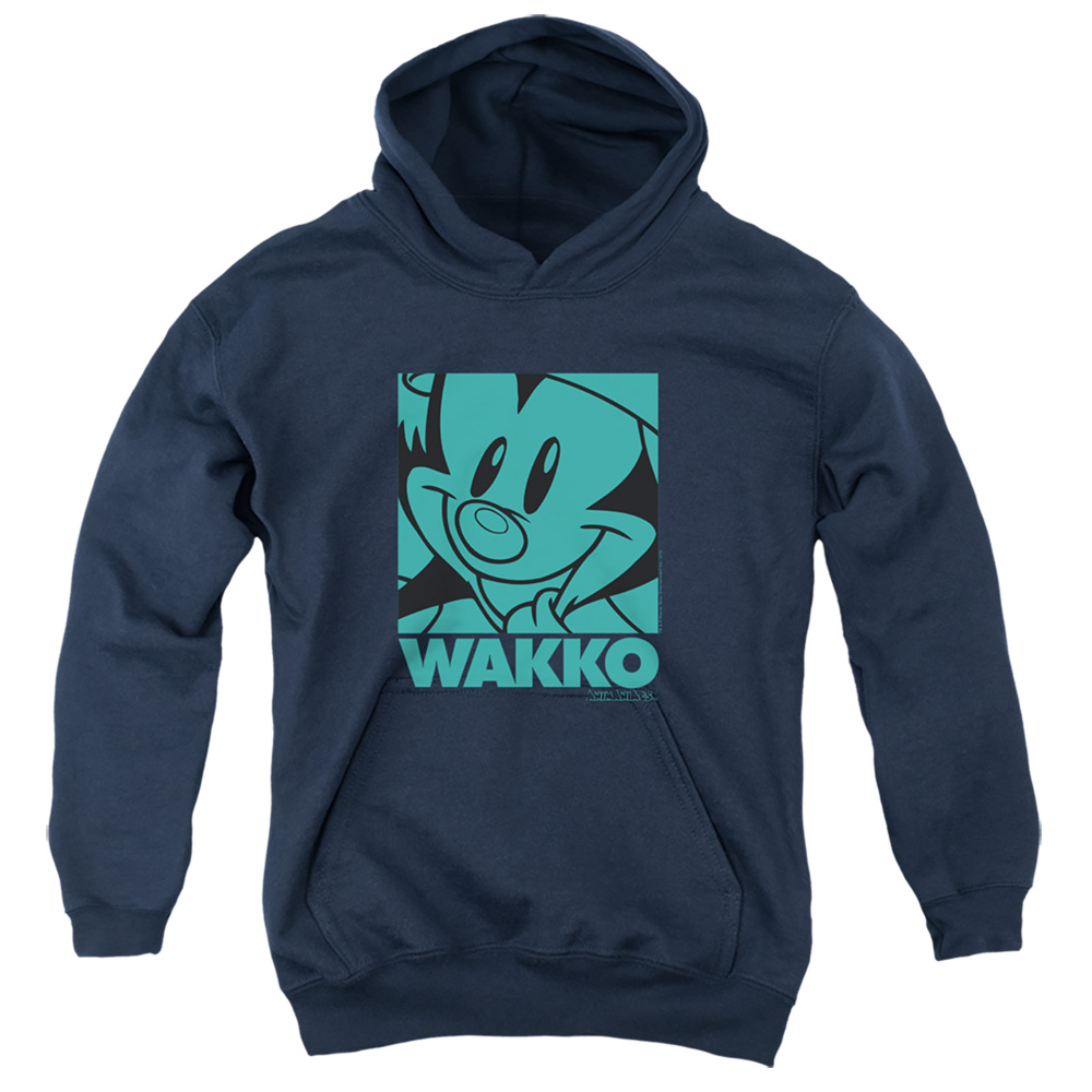 WBT786-YFTH-2 Animaniacs Pop Wakko Youth Hooded Sweatshirt, Navy - Medium