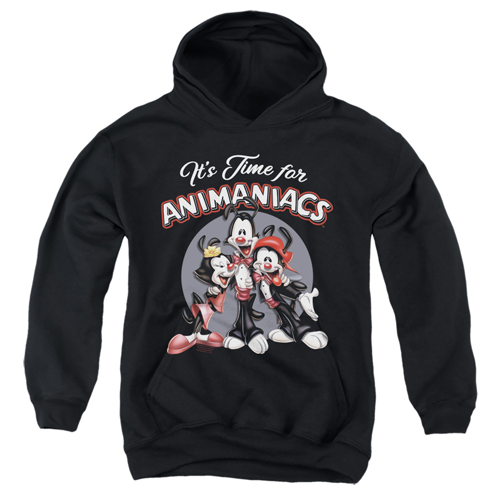 WBT985-YFTH-2 Animaniacs Its Time for Youth Hooded Sweatshirt, Black - Medium