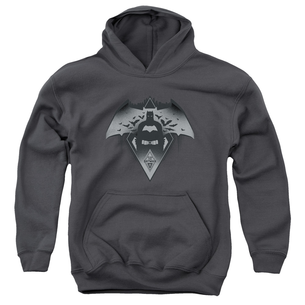 BVS193-YFTH-2 Batman vs Superman Fear Youth Hooded Sweatshirt, Charcoal - Medium