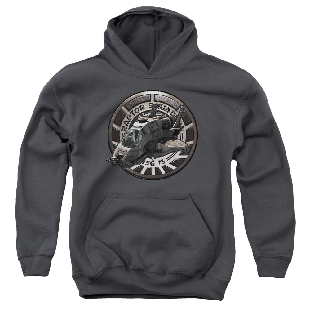 BSG111-YFTH-1 BSG Raptor Squadron Youth Hooded Sweatshirt, Charcoal - Small
