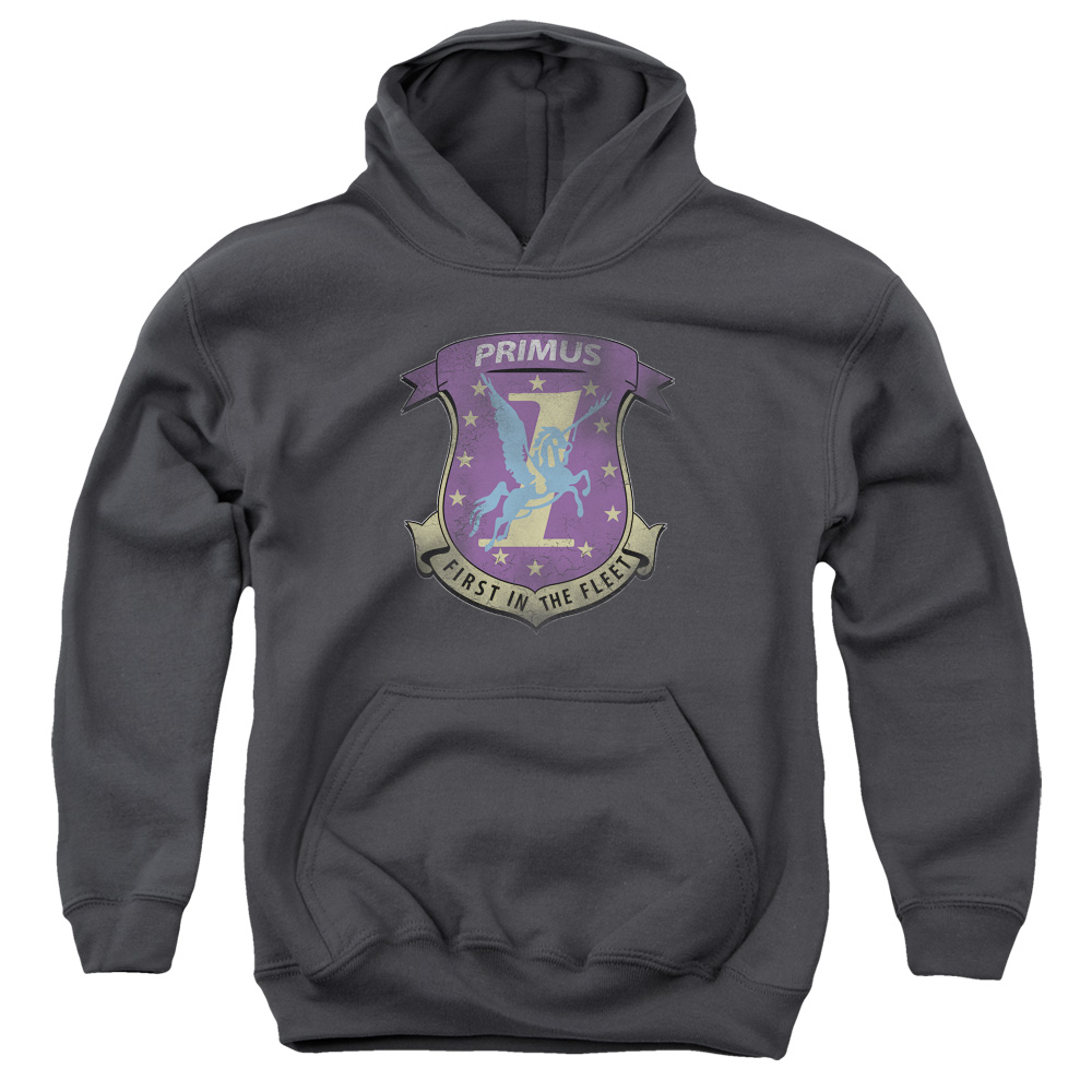 BSG108-YFTH-2 BSG Primas Decal Youth Hooded Sweatshirt, Charcoal - Medium