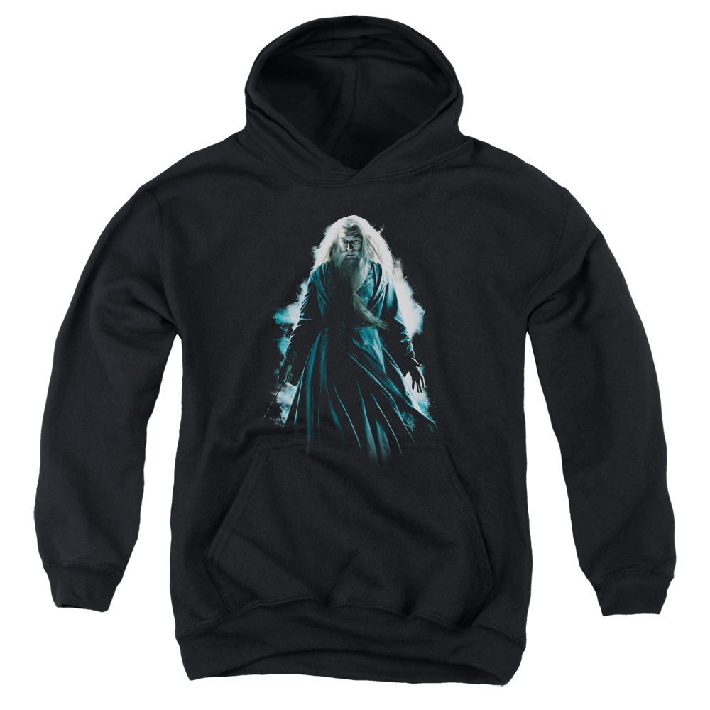 HP6007-YFTH-2 Harry Potter Dumbledore Burst Youth Hooded Sweatshirt, Black - Medium