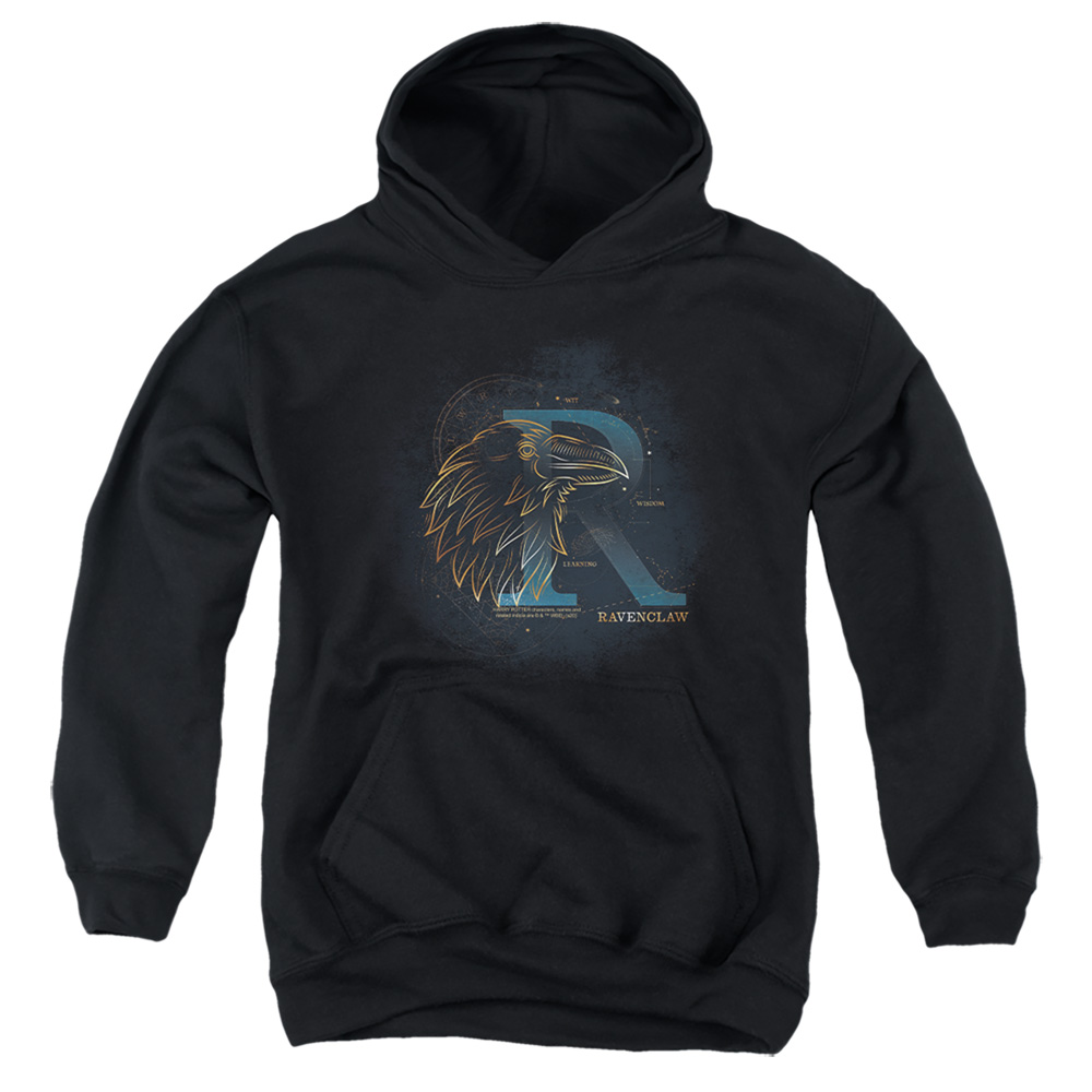 HP8475-YFTH-3 Harry Potter Celestial Nomad Ravenclaw Youth Hooded Sweatshirt, Black - Large