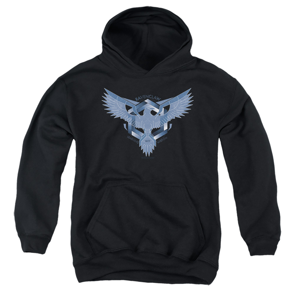 HP8369-YFTH-2 Harry Potter Ravenclaw Learning Wisdom Wit Youth Hooded Sweatshirt, Black - Medium
