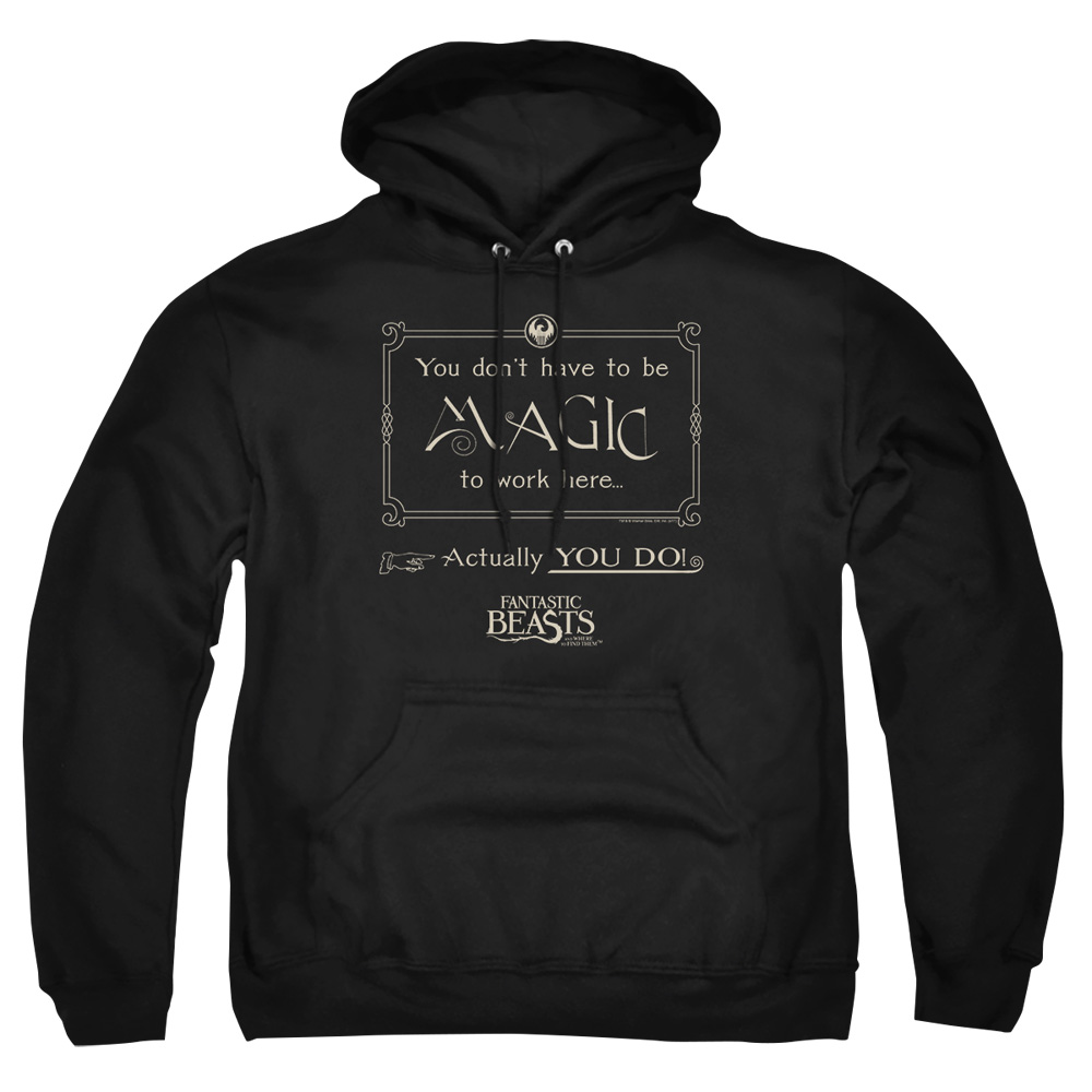 WB227-AFTH-8 Fantastic Beasts Magic to Work Here Adult Pullover Hoodie, Black - 5X