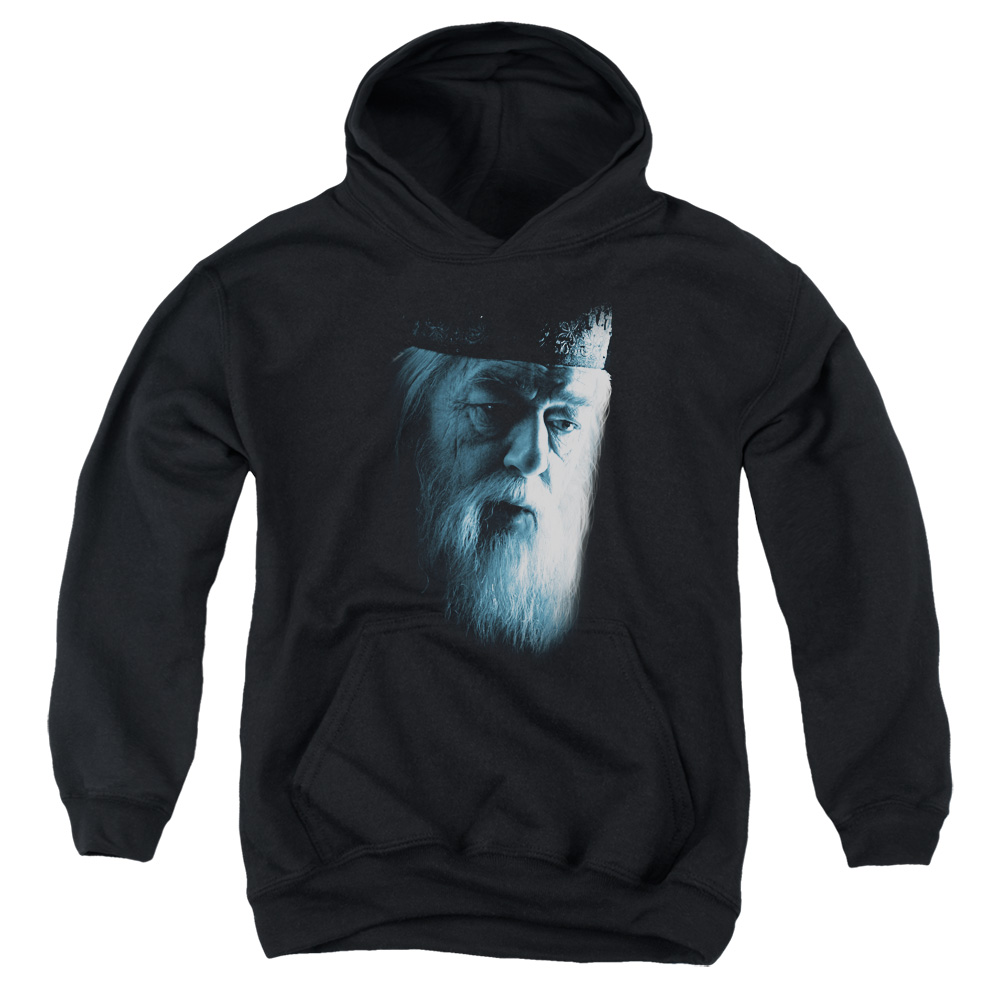 HP6009-YFTH-1 Harry Potter Dumbledore Face Youth Hooded Sweatshirt, Black - Small