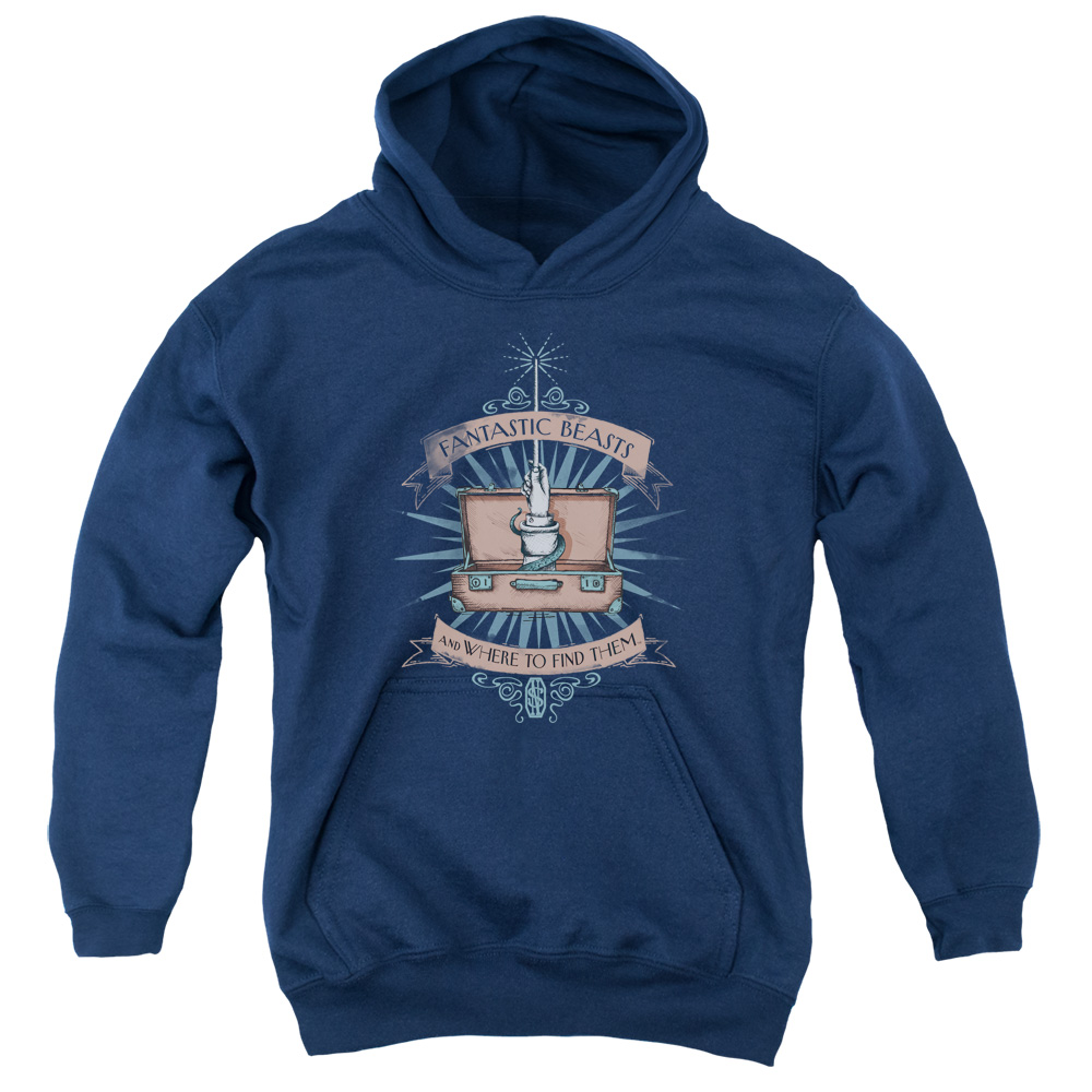 WB209-YFTH-2 Fantastic Beasts Briefcase Youth Hooded Sweatshirt, Navy - Medium