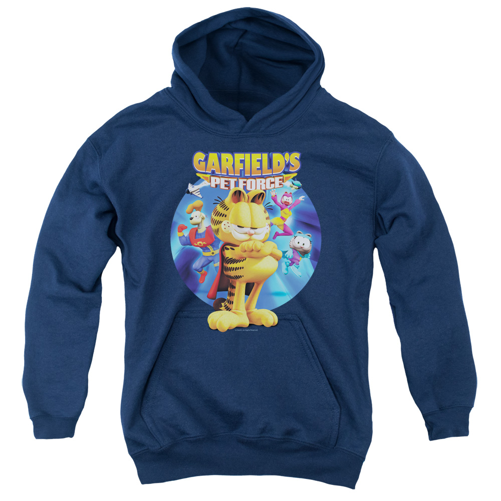 GAR435-YFTH-2 Garfield Dvd Art Youth Hooded Sweatshirt, Navy - Medium