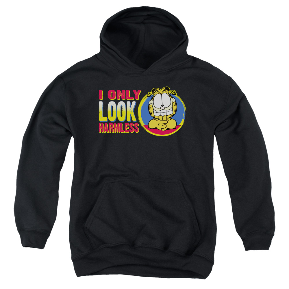 GAR336-YFTH-2 Garfield I Only Look Harmless Youth Hooded Sweatshirt, Black - Medium