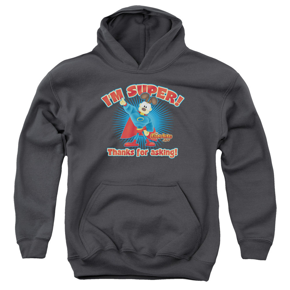 GAR464-YFTH-2 Garfield Super Youth Hooded Sweatshirt, Charcoal - Medium