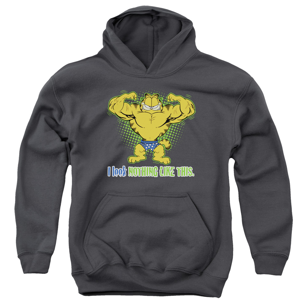 GAR268-YFTH-2 Garfield Nothing Like This Youth Hooded Sweatshirt, Charcoal - Medium