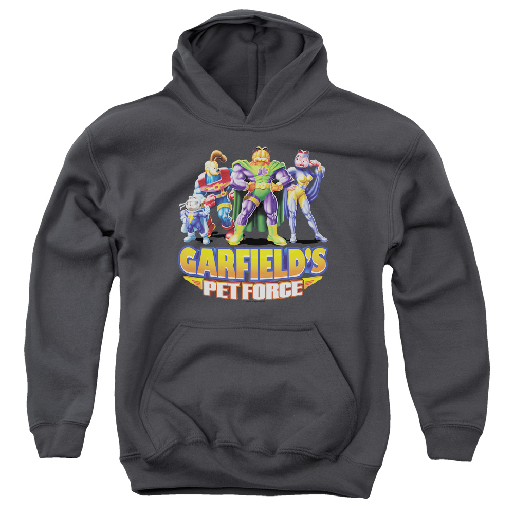 GAR437-YFTH-3 Garfield Beyond Youth Hooded Sweatshirt, Charcoal - Large