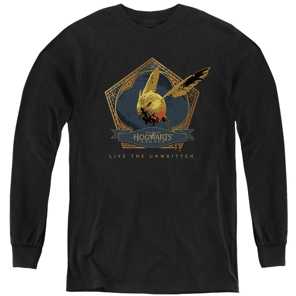HP10012-YL-2 Hogwarts Legacy Golden Snidget Long Sleeve Youth T-Shirt, Black - Medium