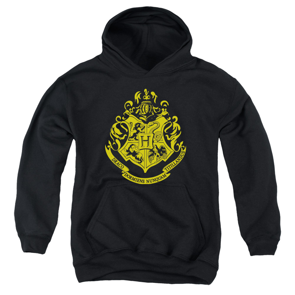 HP8041-YFTH-2 Harry Potter Hogwarts Crest Youth Hooded Sweatshirt, Black - Medium