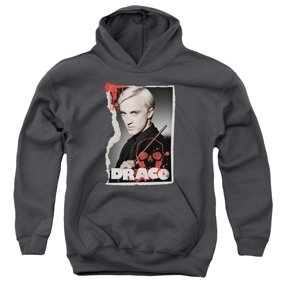 HP8051-YFTH-4 Harry Potter Draco Frame Youth Hooded Sweatshirt, Charcoal - Extra Large