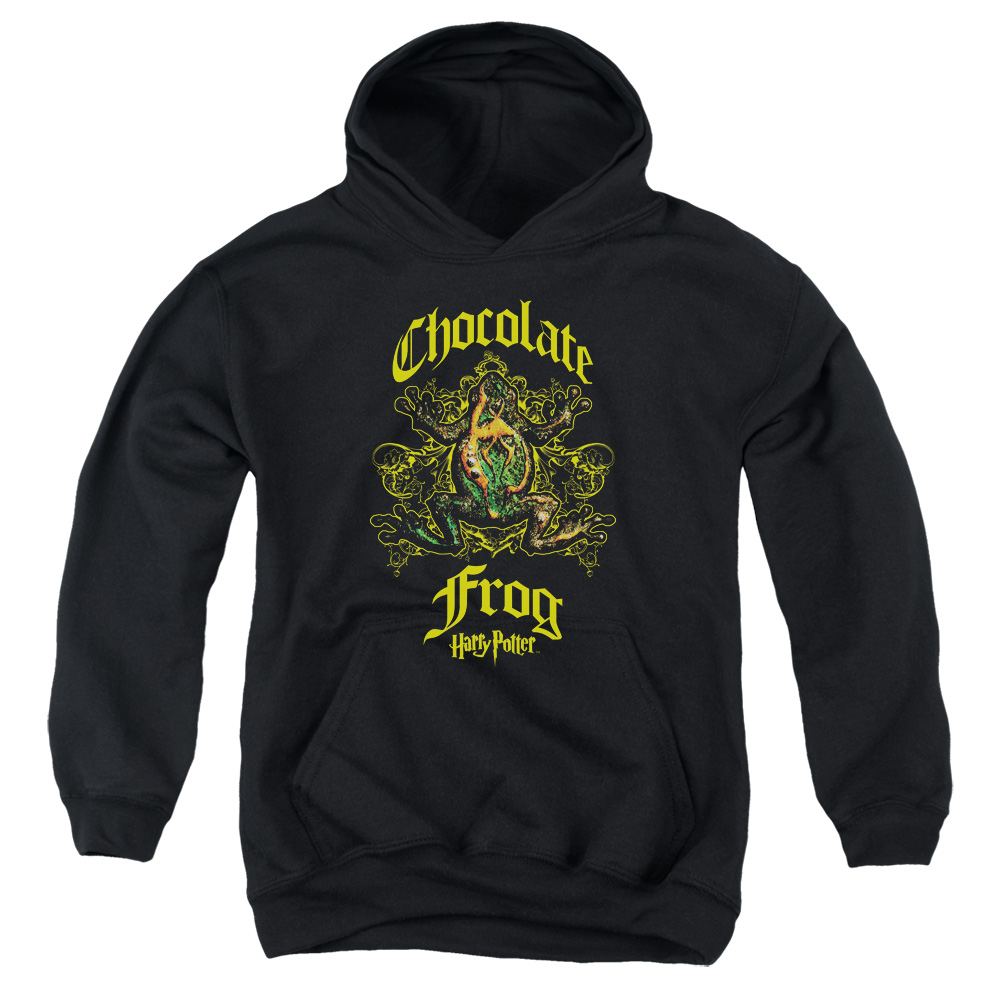 HP8060-YFTH-2 Harry Potter Chocolate Frog Youth Hooded Sweatshirt, Black - Medium