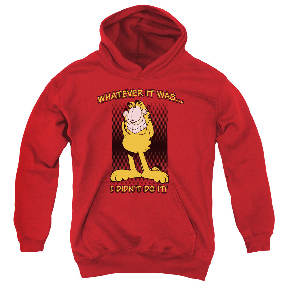 GAR203-YFTH-2 Garfield I Didnt Do It Youth Hooded Sweatshirt, Red - Medium