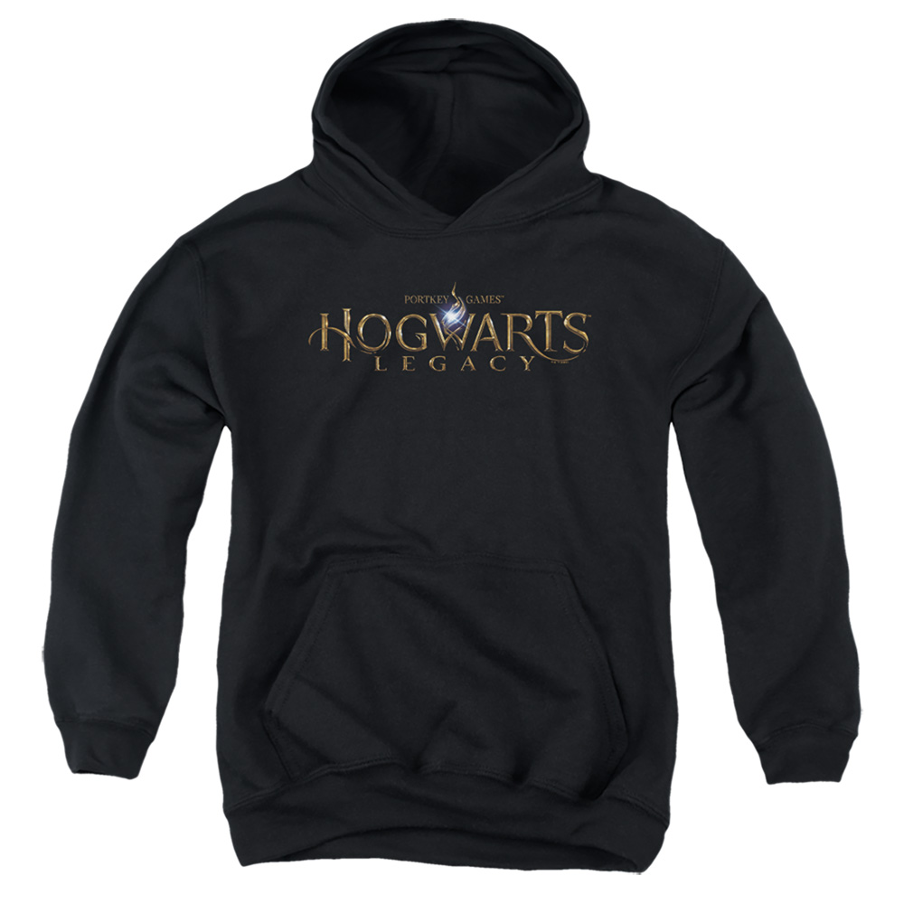 HP10014-YFTH-2 Hogwarts Legacy Logo Youth Hooded Sweatshirt, Black - Medium
