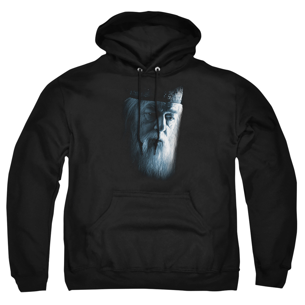 HP6009-AFTH-8 Harry Potter Dumbledore Face Adult Pullover Hoodie, Black - 5X