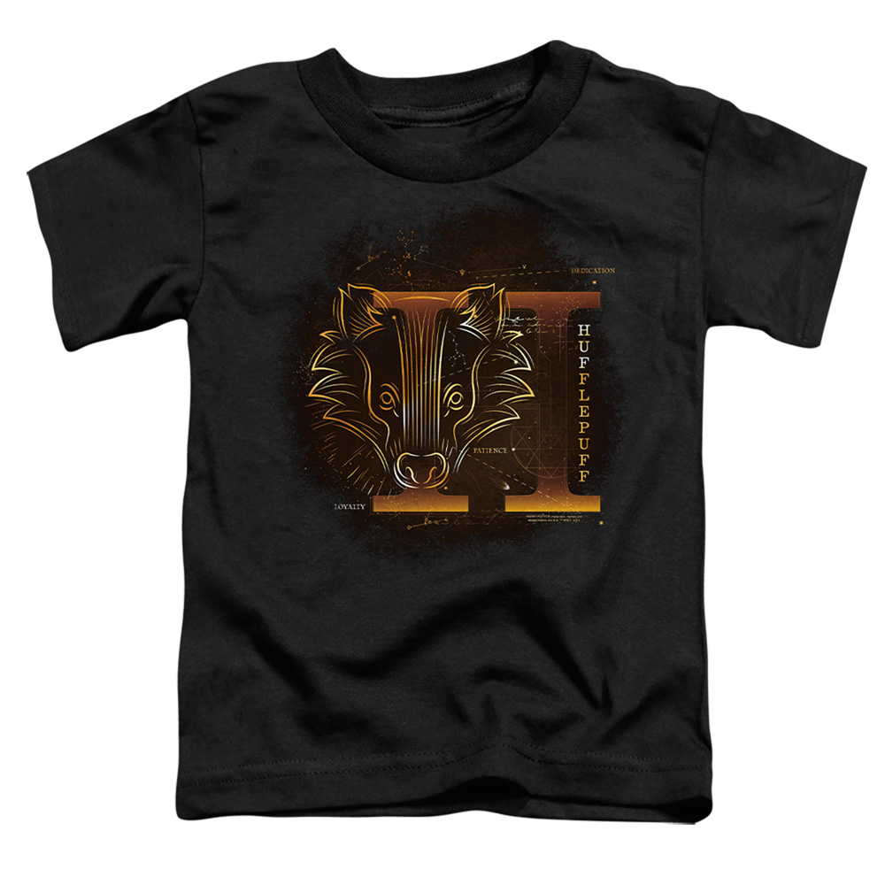 HP8476-TT-3 Harry Potter Celestial Nomad Hufflepuff Toddler Short Sleeve T-Shirt, Black - Large 4T