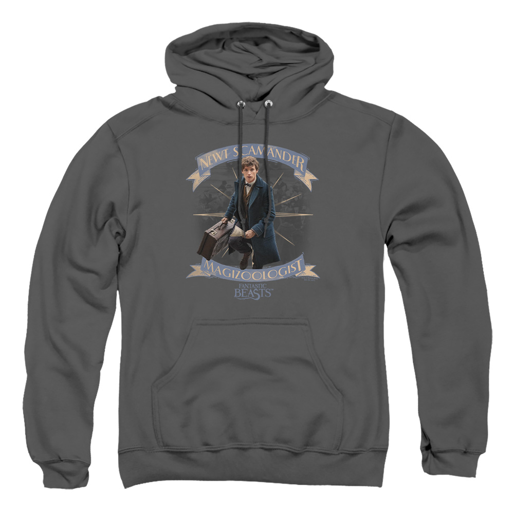 WB210-AFTH-2 Fantastic Beasts T Scamander Adult Pullover Hoodie, Charcoal - Medium