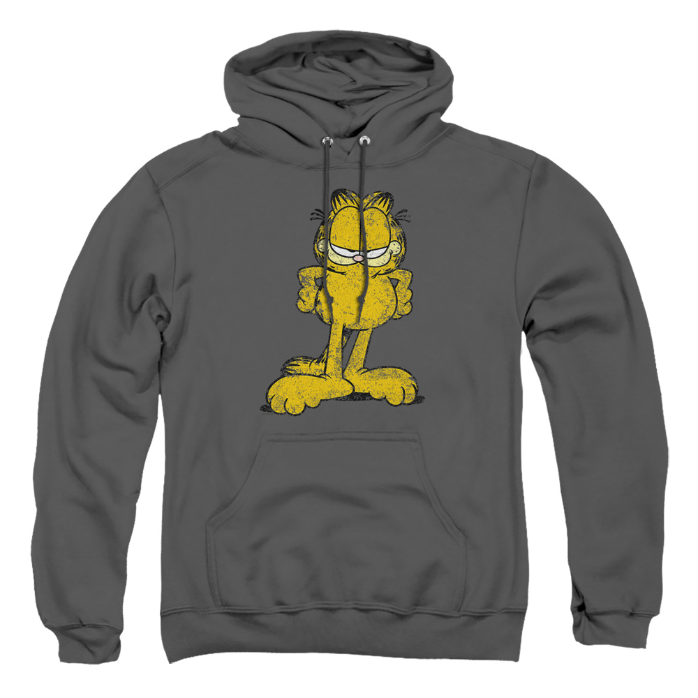 GAR187-AFTH-4 Garfield Big Ol Cat Adult Pullover Hoodie, Charcoal - Extra Large
