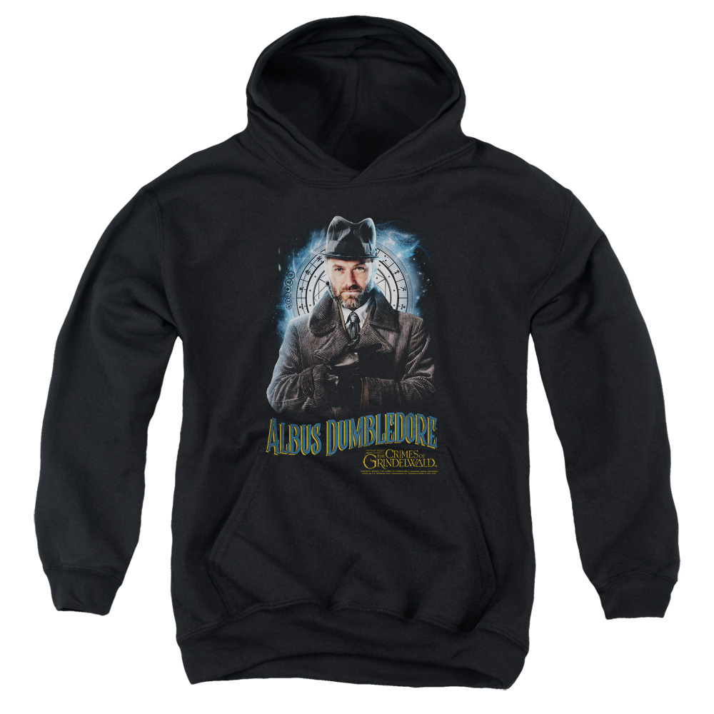 WB288-YFTH-2 Fantastic Beasts 2 Dumbledore Youth Hooded Sweatshirt, Black - Medium
