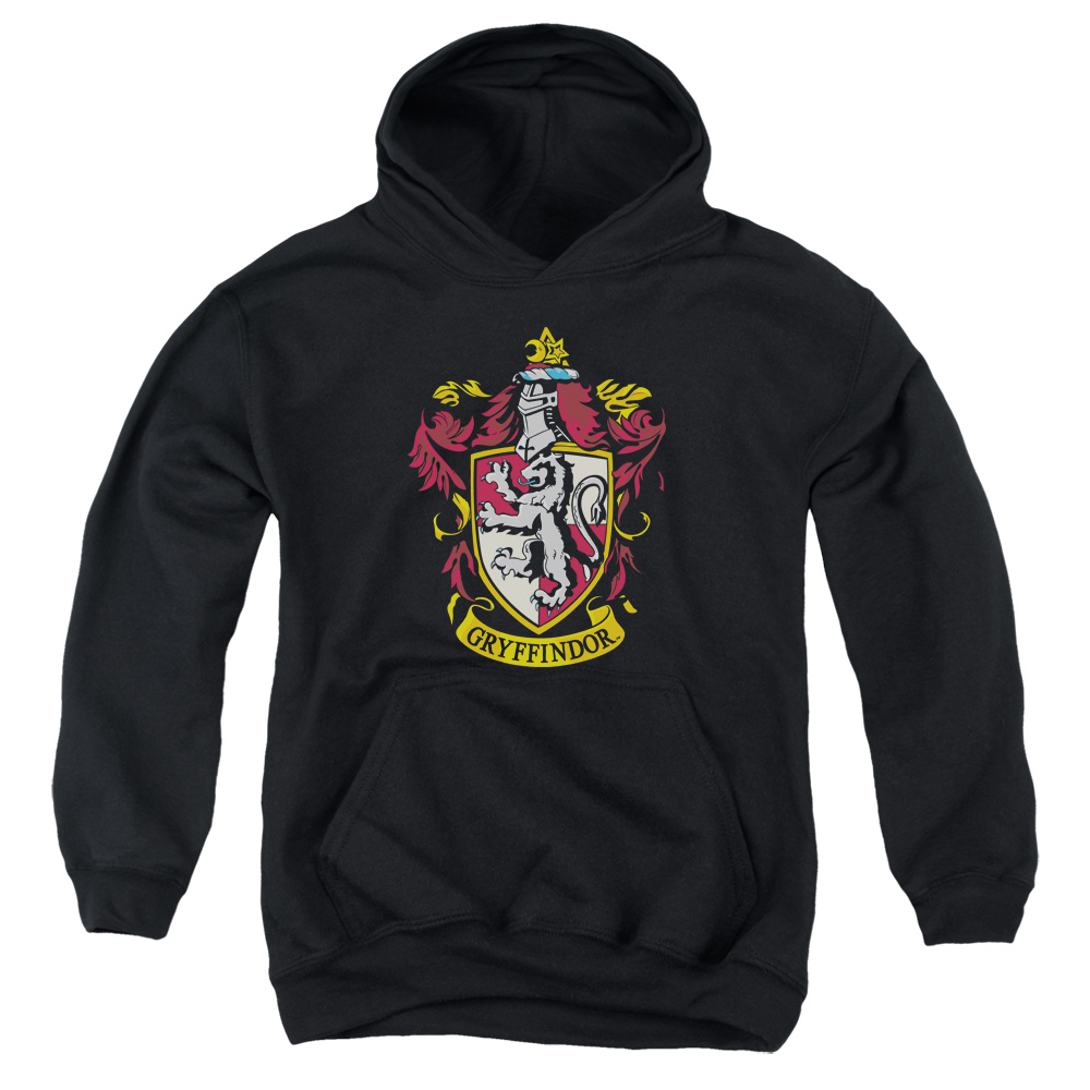 HP102-YFTH-2 Harry Potter Gryffindor Crest Youth Hooded Sweatshirt, Black - Medium