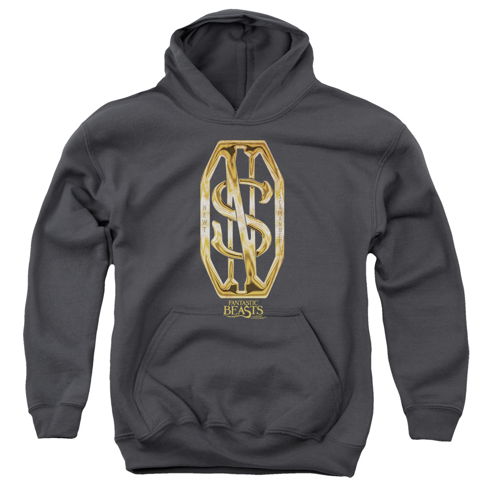 WB242-YFTH-3 Fantastic Beasts Scamander Monogram Youth Hooded Sweatshirt, Charcoal - Large