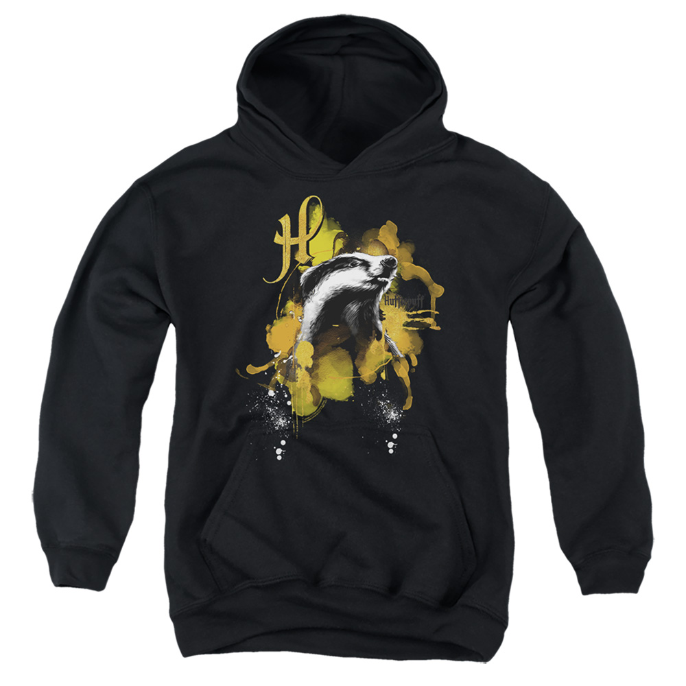 HP8450-YFTH-1 Harry Potter Urban Elegance Hufflepuff Decalr Youth Hooded Sweatshirt, Black - Small