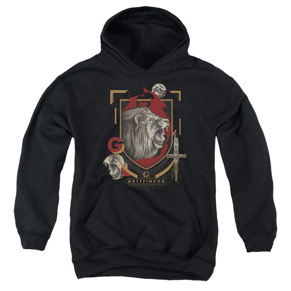 HP8488-YFTH-4 Harry Potter Gryffindor Magicial Mischief Level Up Crest Youth Hooded Sweatshirt, Black - Extra Large