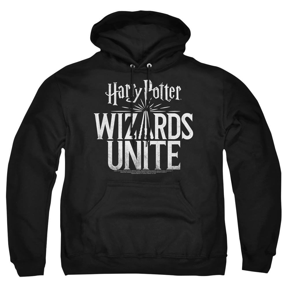 HP9047-AFTH-2 Harry Potter Wizards Unite Logo Adult Pullover Hoodie, Black - Medium