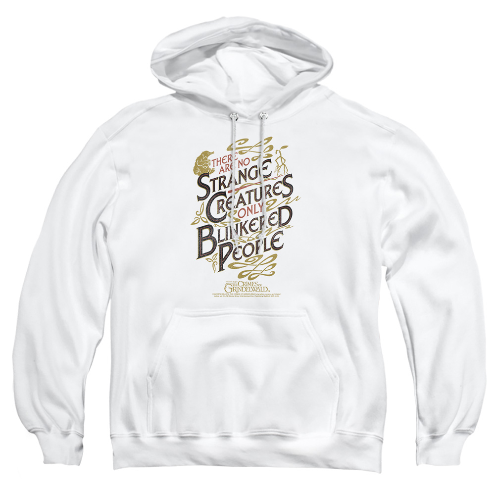 WB282-AFTH-4 Fantastic Beasts 2 Blinkered People Adult Pullover Hoodie, White - Extra Large