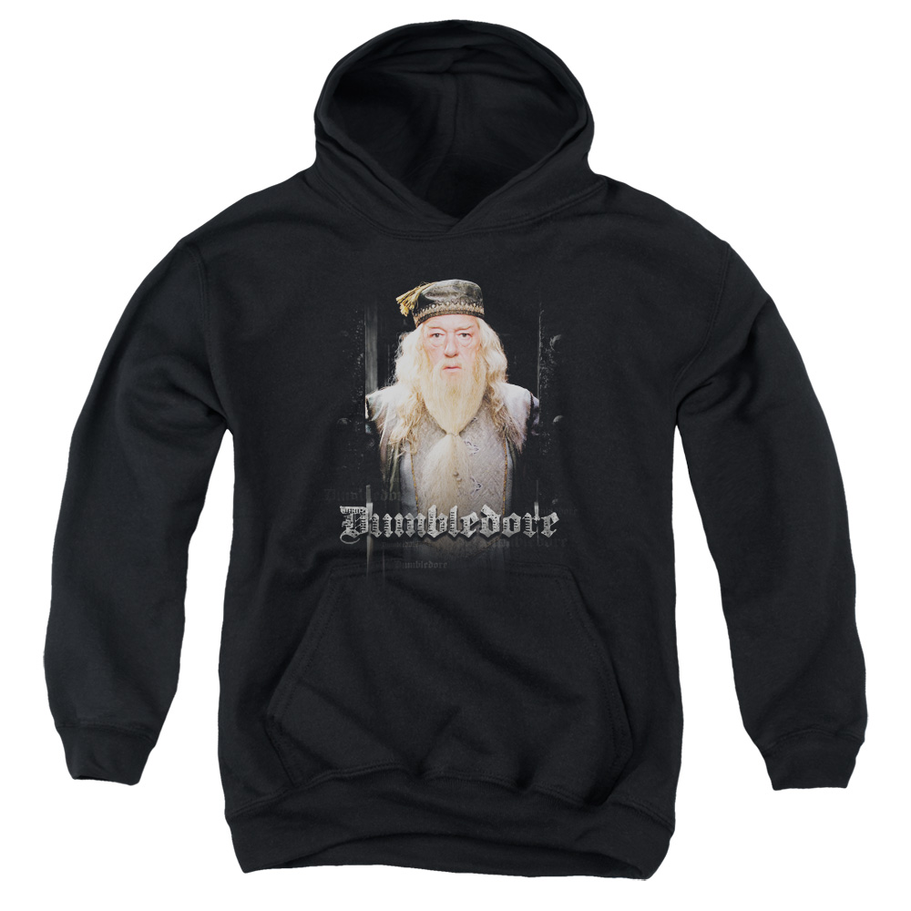 HP6008-YFTH-3 Harry Potter Dumble Doors Youth Hooded Sweatshirt, Black - Large
