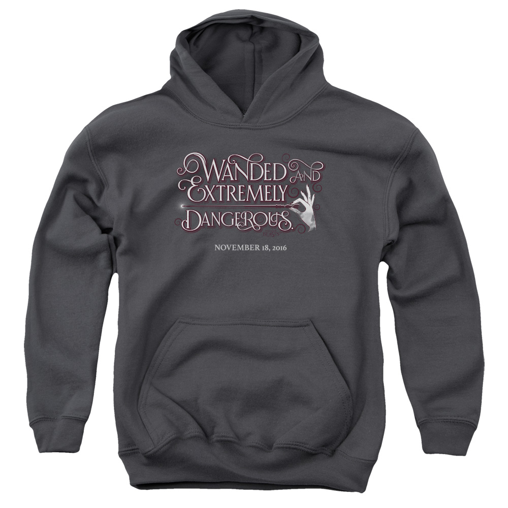 WB216-YFTH-2 Fantastic Beasts Wanded Youth Hooded Sweatshirt, Charcoal - Medium