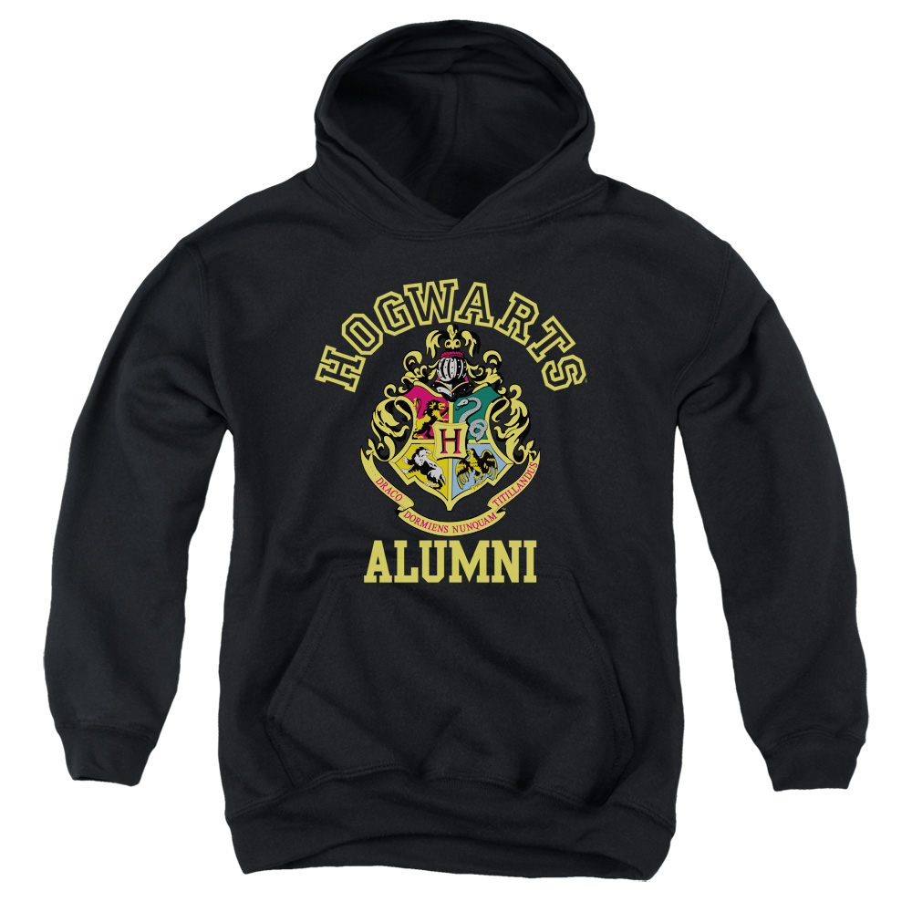 HP8075-YFTH-2 Harry Potter Hogwarts Alumni Crest Youth Hooded Sweatshirt, Black - Medium