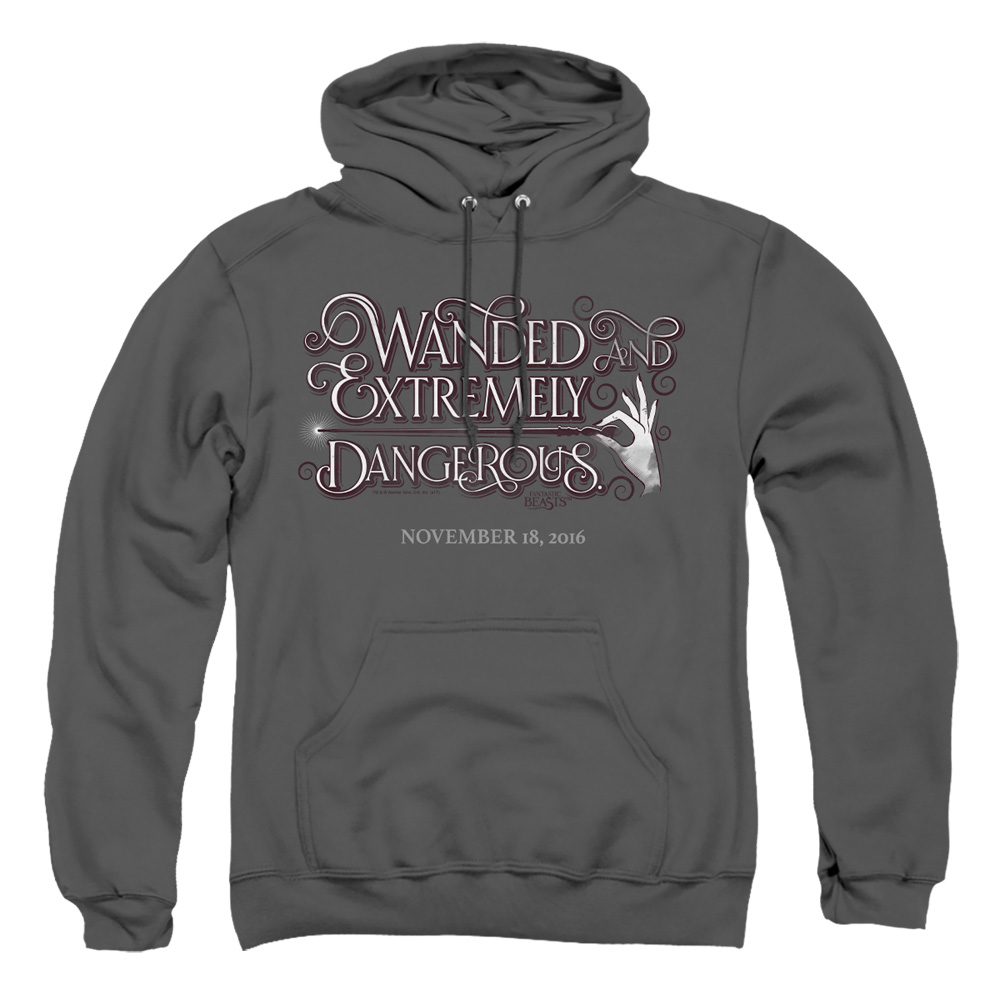 WB216-AFTH-4 Fantastic Beasts Wanded Adult Pullover Hoodie, Charcoal - Extra Large