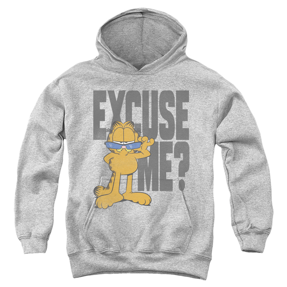 GAR717-YFTH-2 Garfield Excuse Me Youth Hooded Sweatshirt, Athletic Heather - Medium