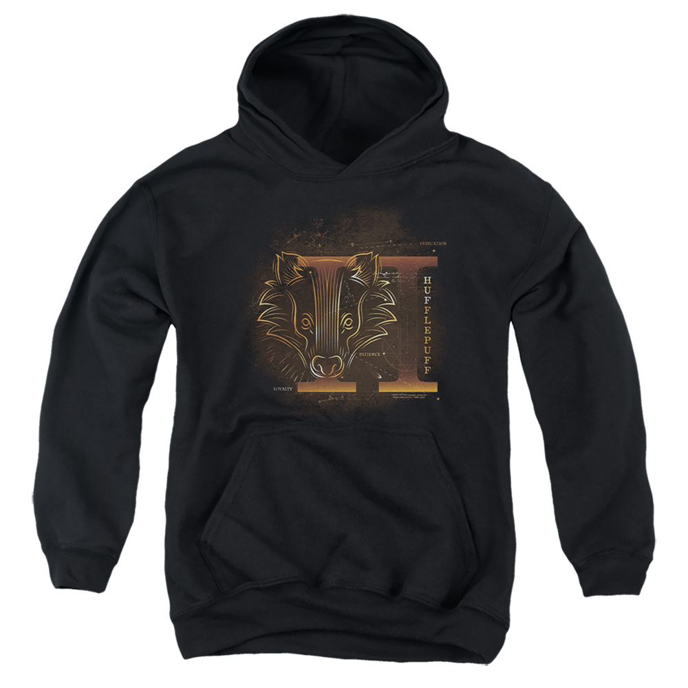 HP8476-YFTH-4 Harry Potter Celestial Nomad Hufflepuff Youth Hooded Sweatshirt, Black - Extra Large